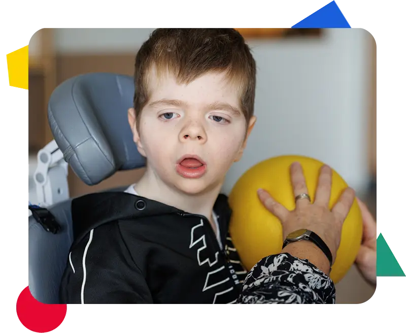 Netwerk LOOK - Inhoud